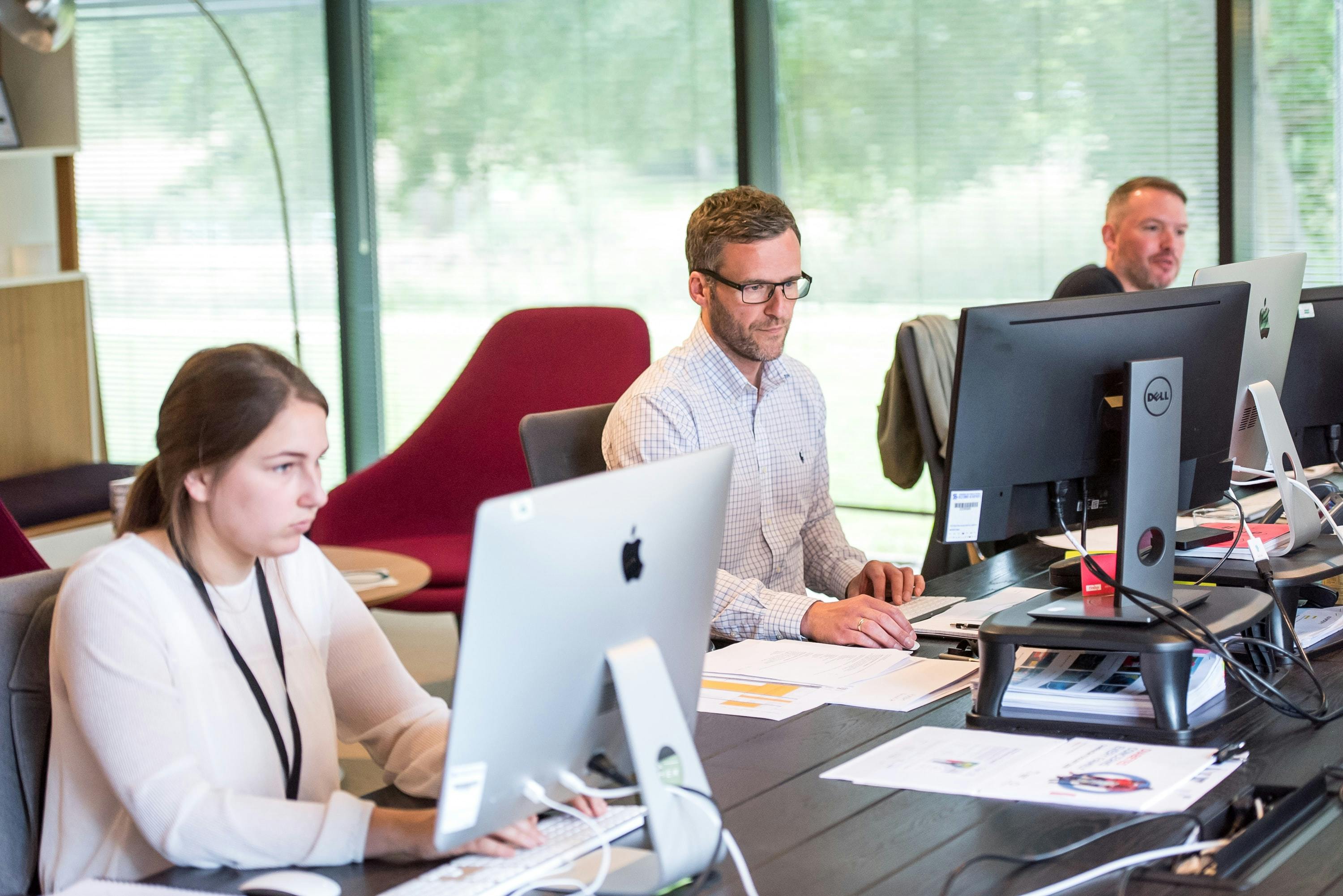 people using computers in office